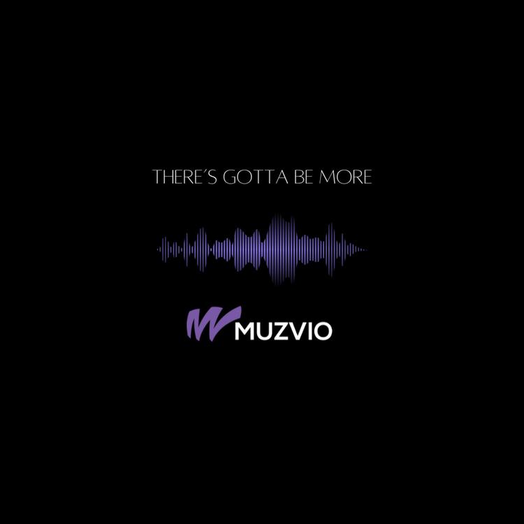 Muzvio's avatar image