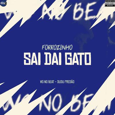 Forrozinho Sai dai Gato's cover