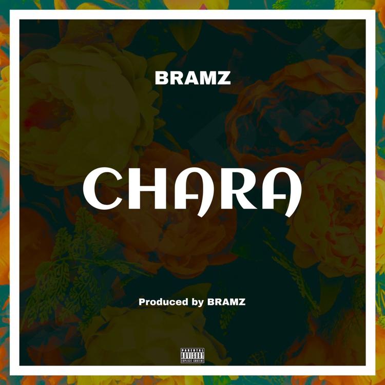 Bramz's avatar image