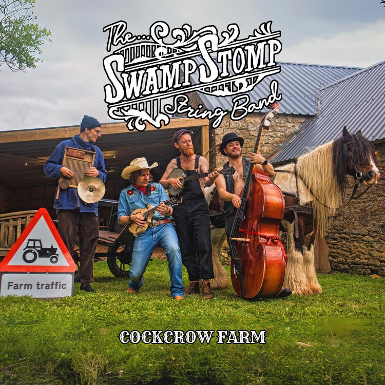 The Swamp Stomp String Band's avatar image