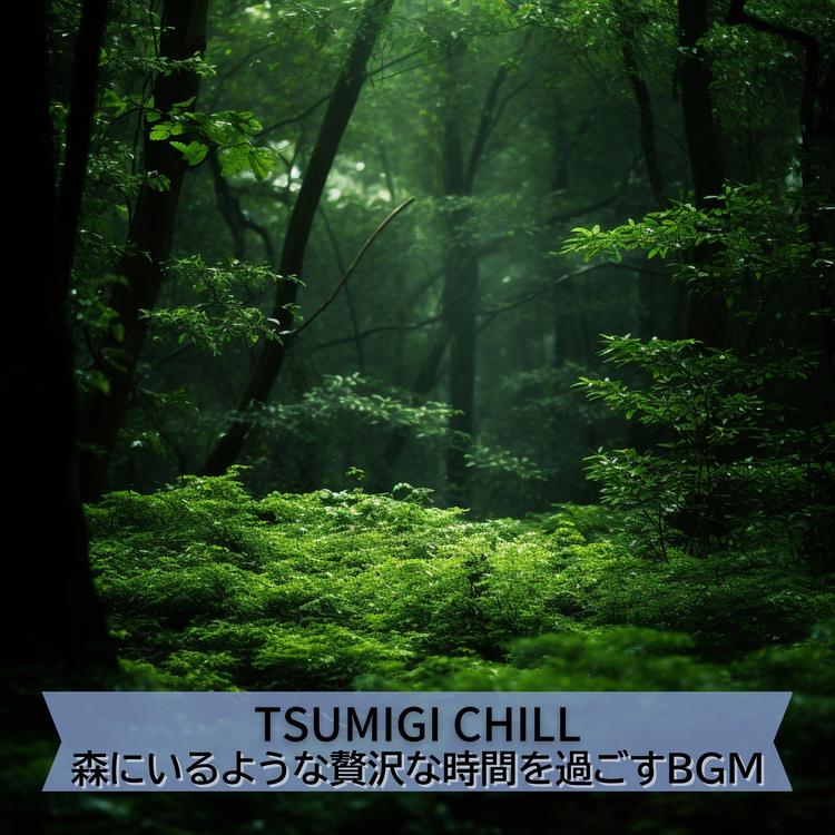 Tsumigi Chill's avatar image