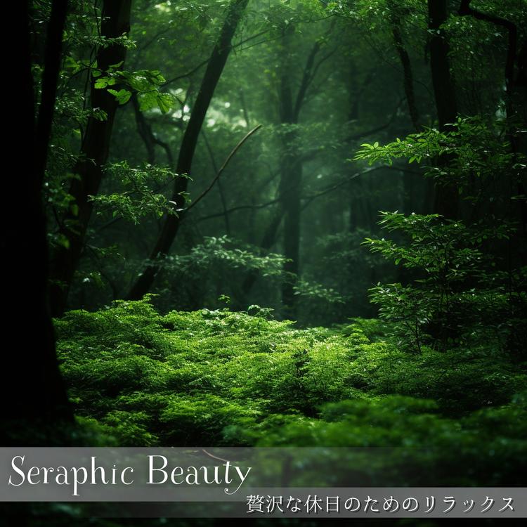 Seraphic Beauty's avatar image