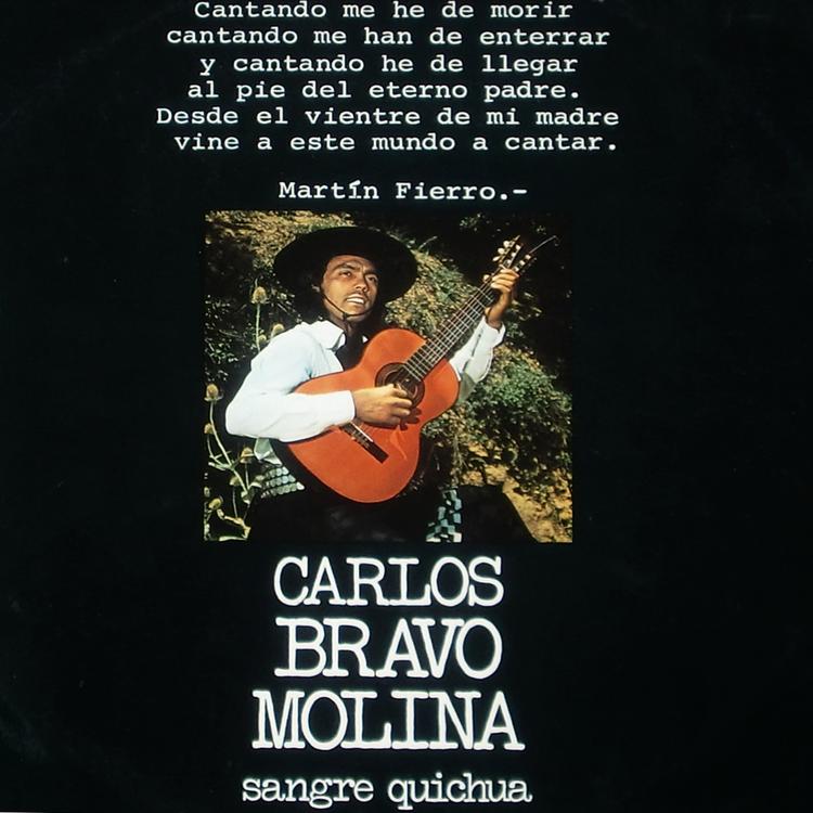 Carlos Bravo Molina's avatar image