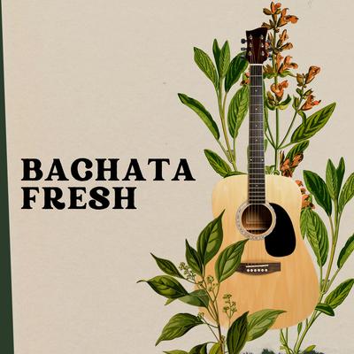 Bachata fresh's cover