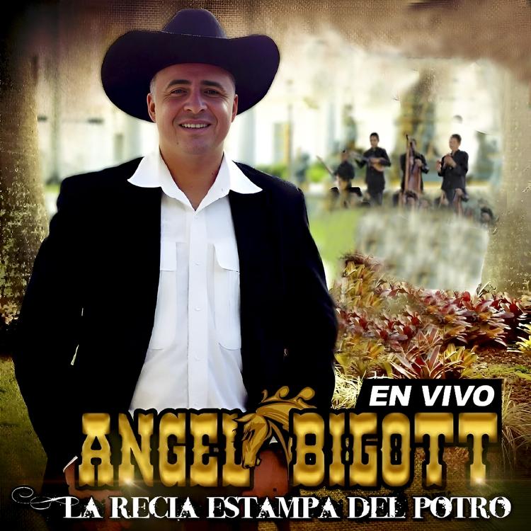 Angel Bigott's avatar image