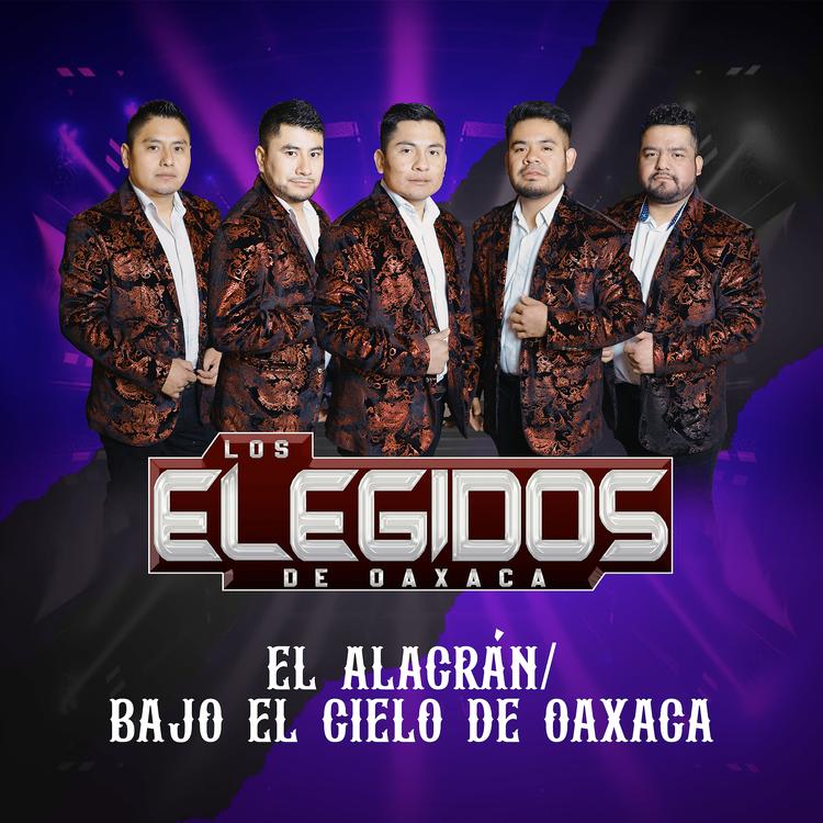 Los Elegidos De Oaxaca's avatar image