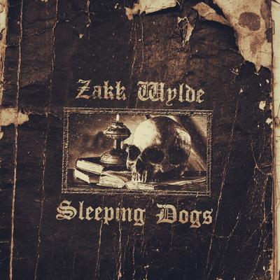 Sleeping Dogs's cover