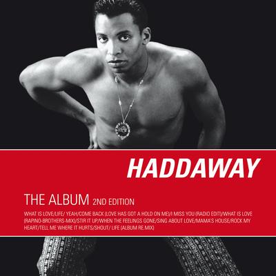 Rock My Heart By Haddaway's cover