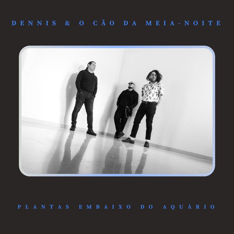 Dennis e o Cão da meia-noite's avatar image