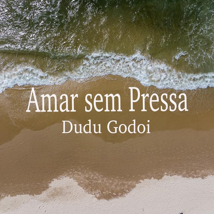 Dudu Godoi Oficial's avatar image