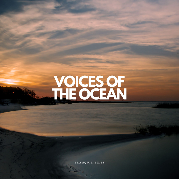 Voices Of The Ocean's avatar image