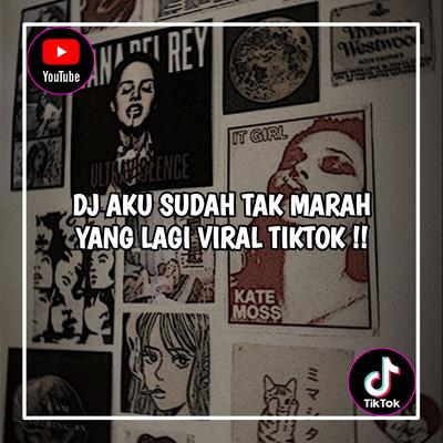 DJ Aku Sudah Tak Marah Walau Masih Teringat - Satu Satu Idgitaf Viral Tiktok 2023 !'s cover