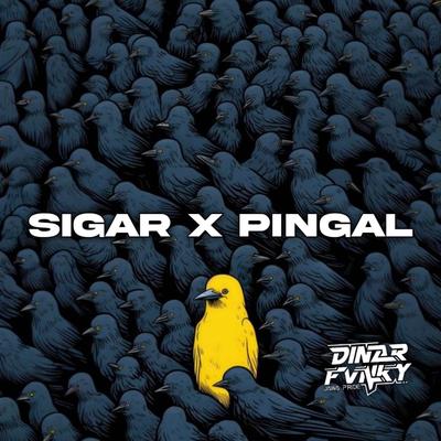 SIGAR X PINGAL's cover