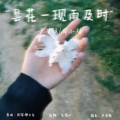 昙花一现雨及时's cover