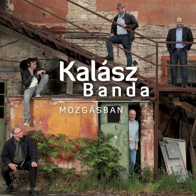 Kalász Banda's avatar image