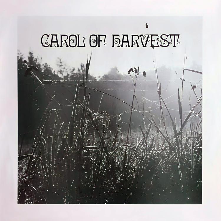 Carol of Harvest's avatar image