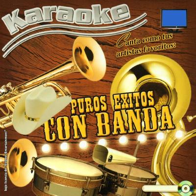 Caminos de Guanajuato (Version Karaoke)'s cover