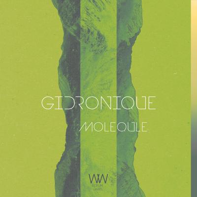 Molequle's cover