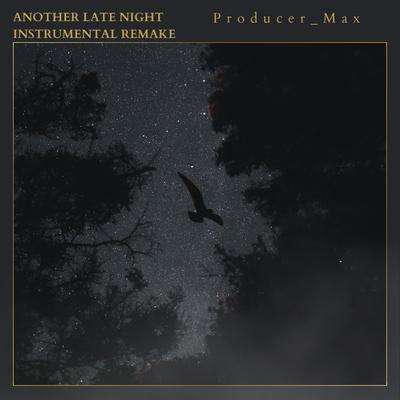 Another Late Night (Instrumental Remake) By Producer_Max's cover