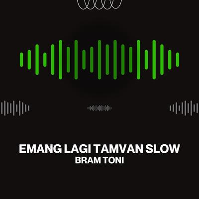 Emang Lagi Tamvan Slow (Remix)'s cover