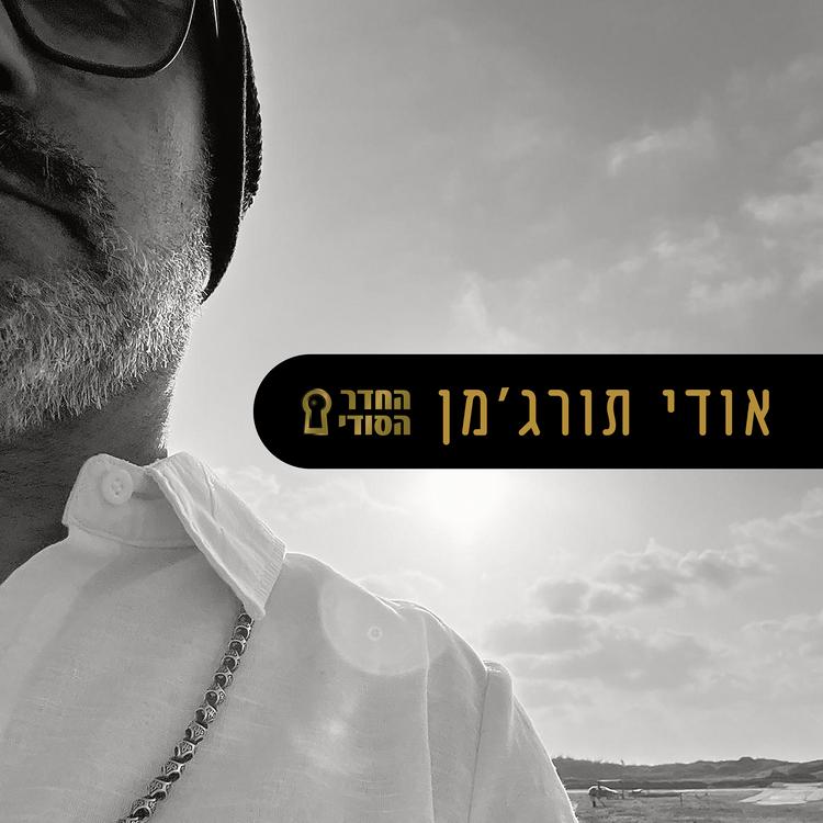 אודי תורג'מן - החדר הסודי's avatar image