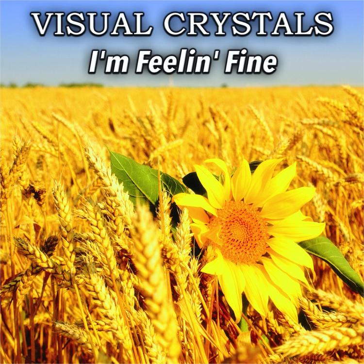 Visual Crystals's avatar image