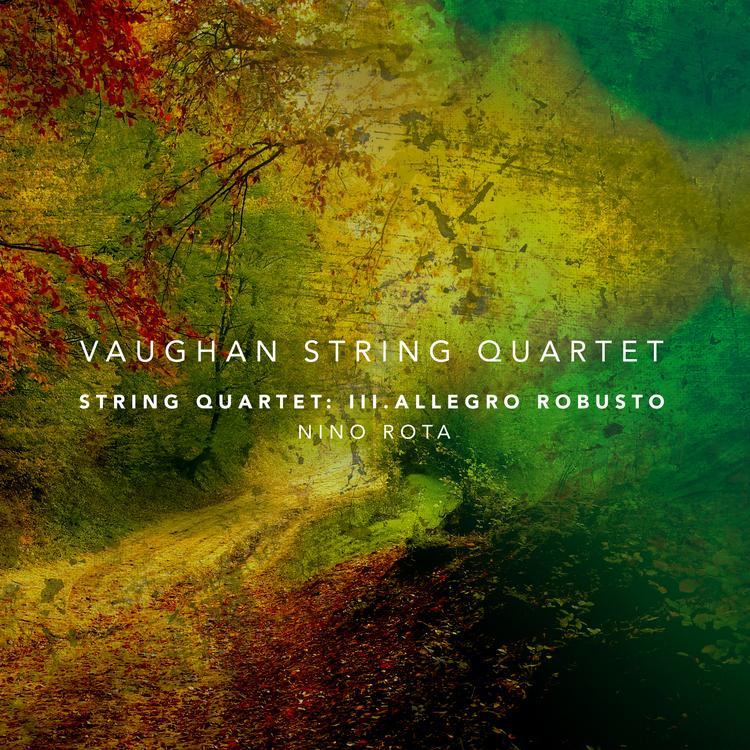 Vaughan String Quartet's avatar image