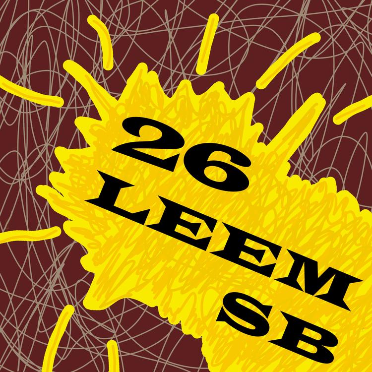 LEEM SB's avatar image