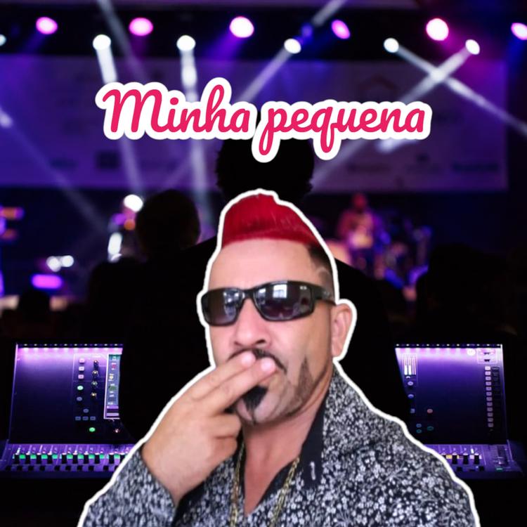 Forró Conexão Boys's avatar image