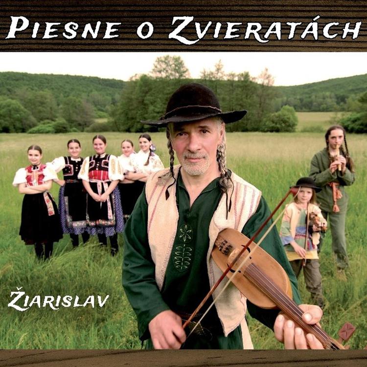 Žiarislav's avatar image