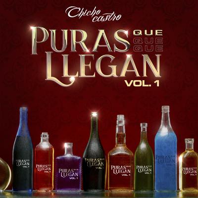 Puras Que Llegan, Vol. 1's cover