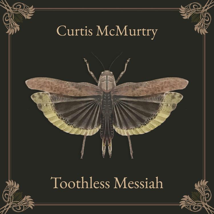 Curtis McMurtry's avatar image