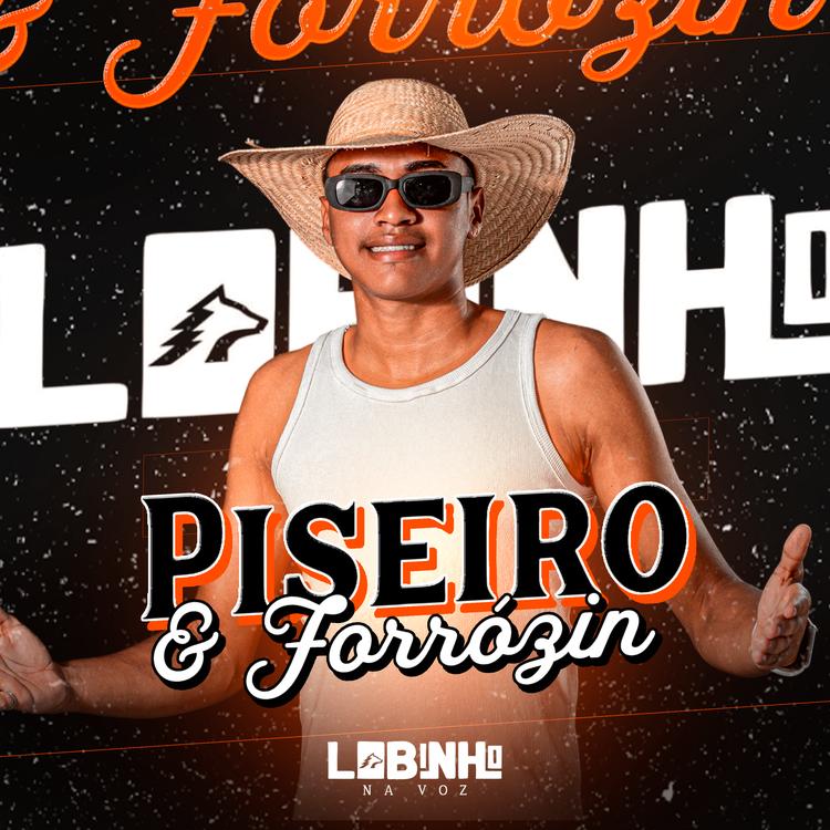 LOBINHO NA VOZ's avatar image