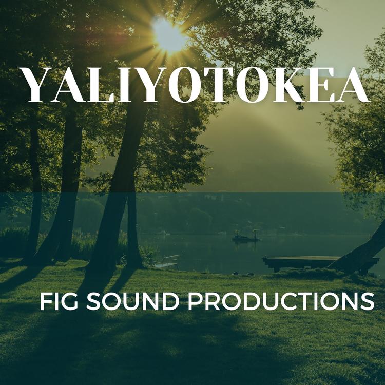 Fig Sound Productions's avatar image