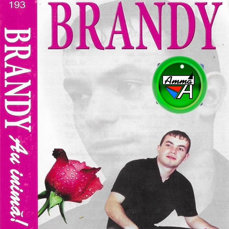 Brandy's avatar image