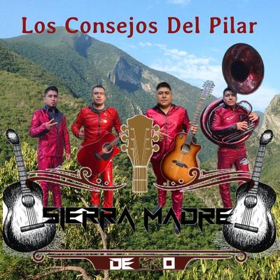 El Jefe de Plaza's cover