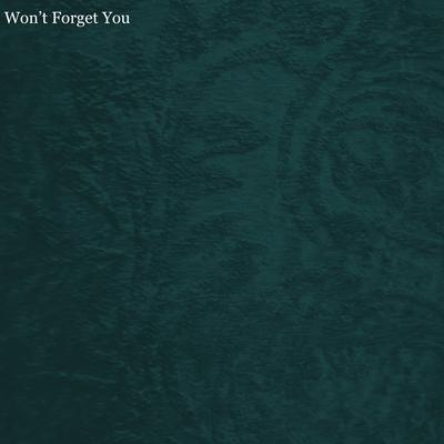 Won't Forget You (Speed Up Remix)'s cover