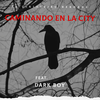 Caminando En La City By El Zikiatriko RekordZ, Dark Boy's cover
