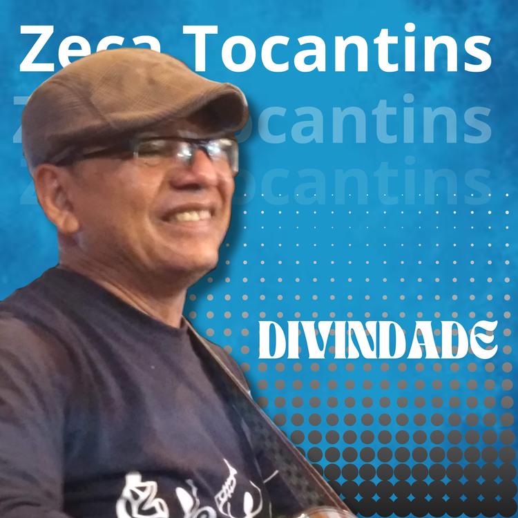 Zeca Tocantins's avatar image