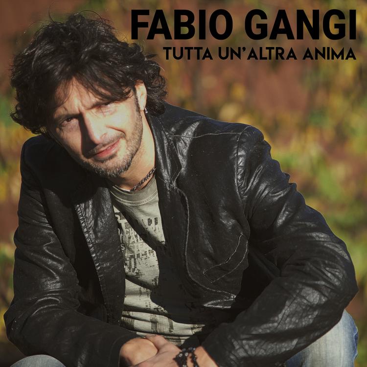 Fabio Gangi's avatar image