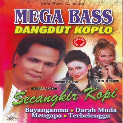 Mega Bass Dangdut Koplo's cover