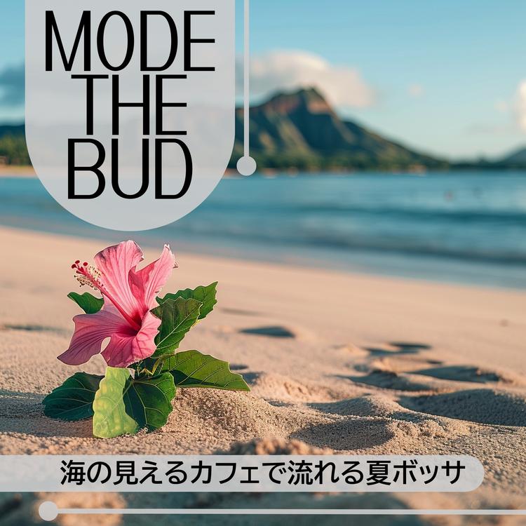 Mode The Bud's avatar image