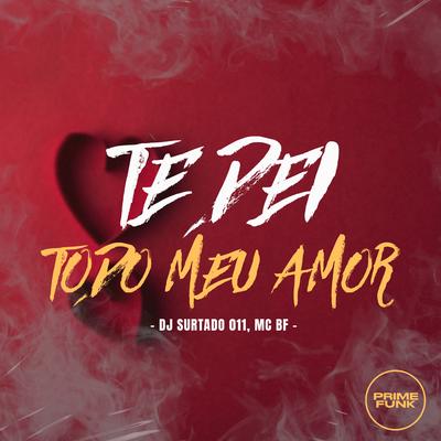 Te Dei Todo Meu Amor By DJ Surtado 011, MC BF's cover