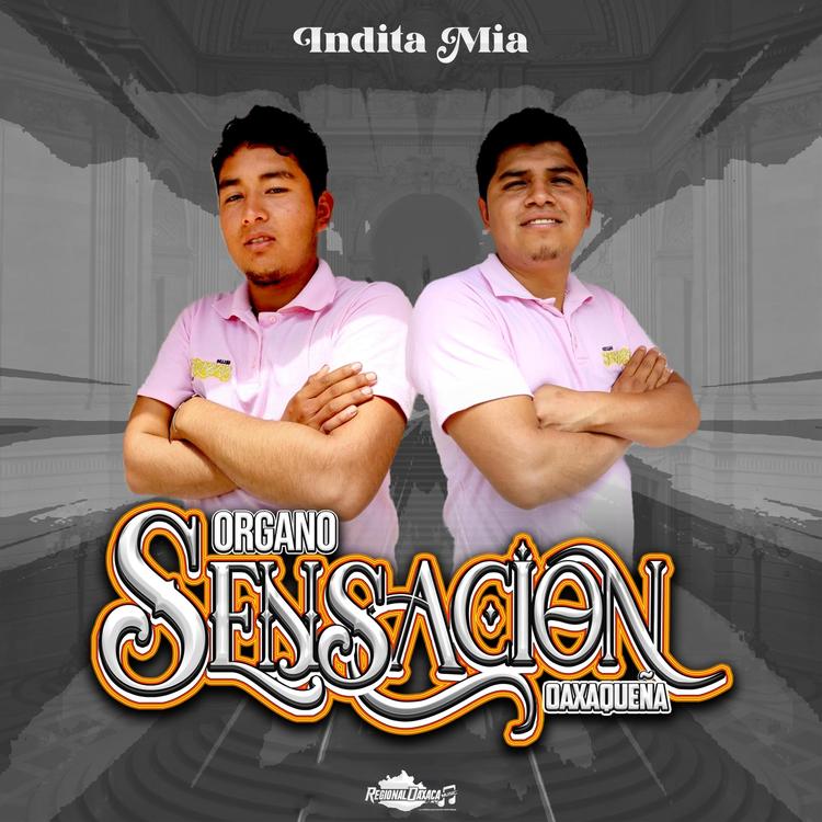 Organo Sensacion Oaxaqueña's avatar image