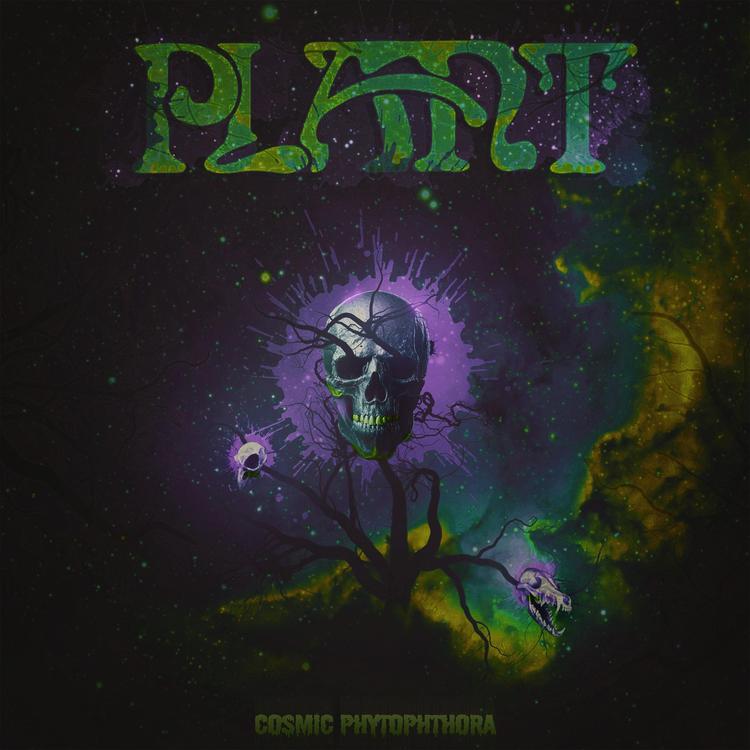 PLANT's avatar image