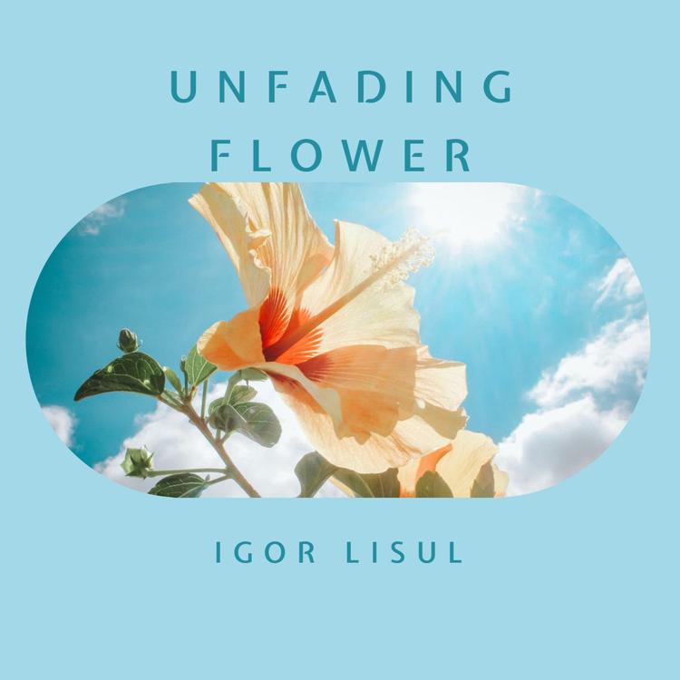 Igor Lisul's avatar image