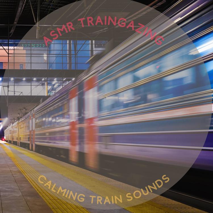 ASMR Traingazing's avatar image