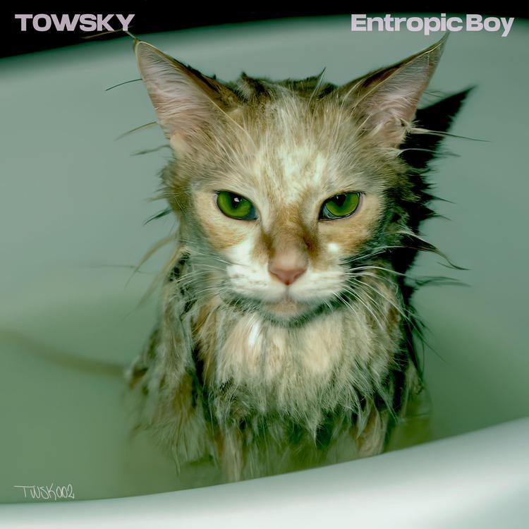 Towsky's avatar image