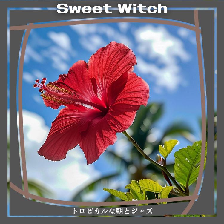 Sweet Witch's avatar image