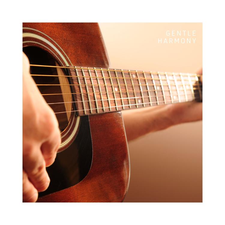 Guitar Lounge's avatar image